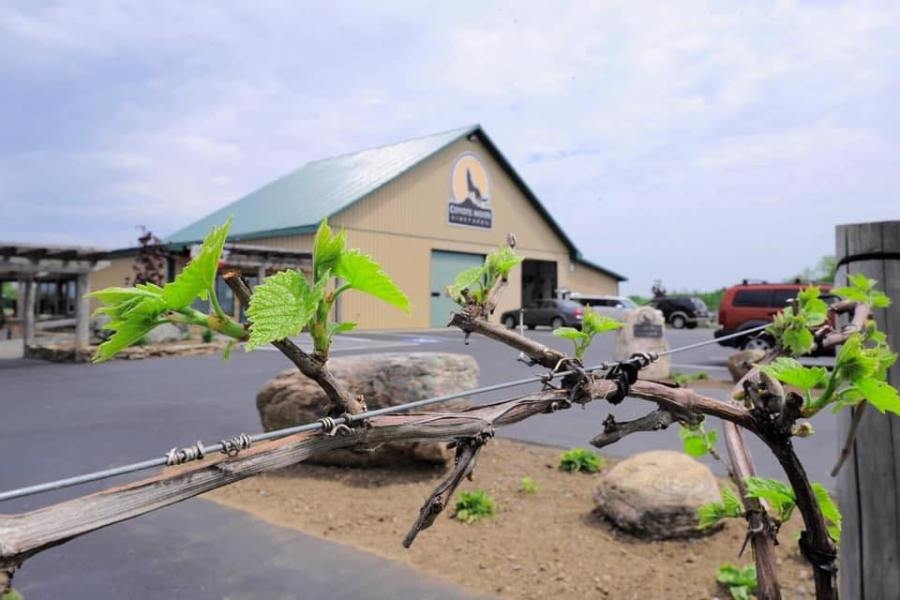 Award-winning north country winery up for sale