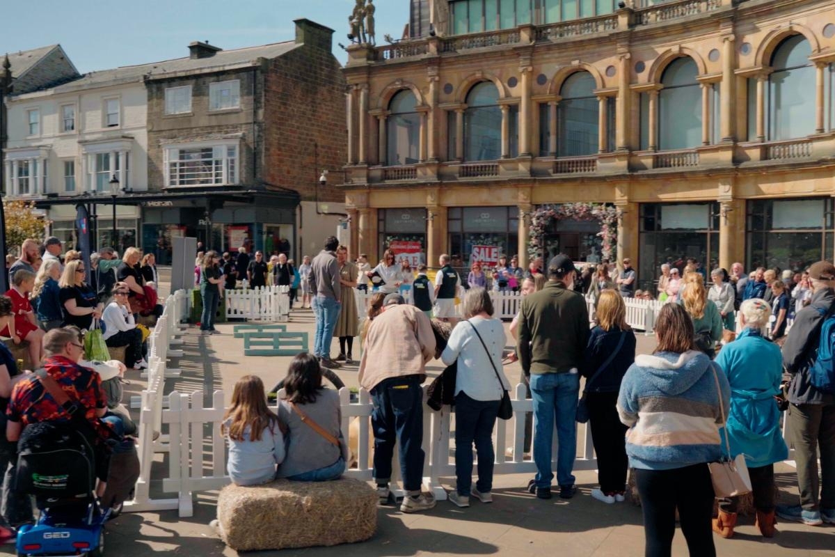 Thousands flock to Harrogate town centre for 2025 Dog Show