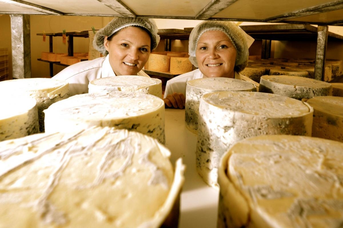 On this day: multiple award wins for cheesemaker Shepherds Purse