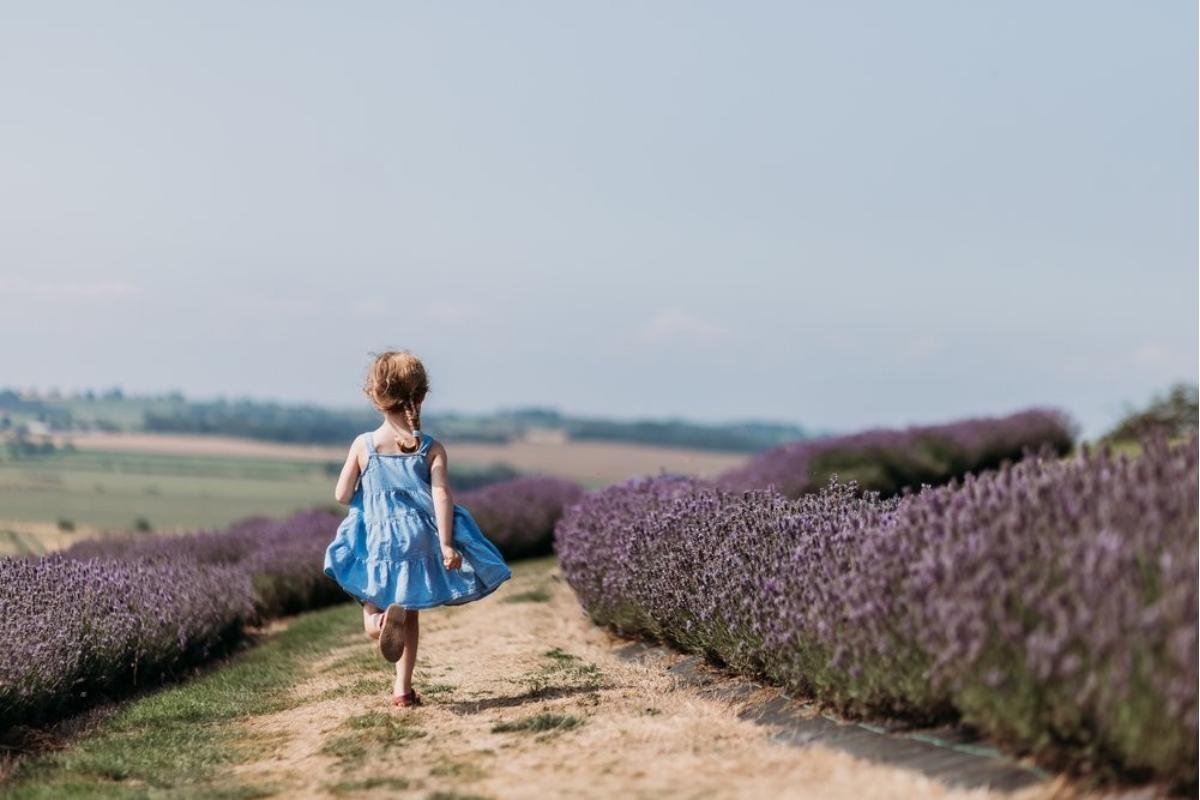 Giant Jenga, crafts, and more during Yorkshire Lavender Kids Days
