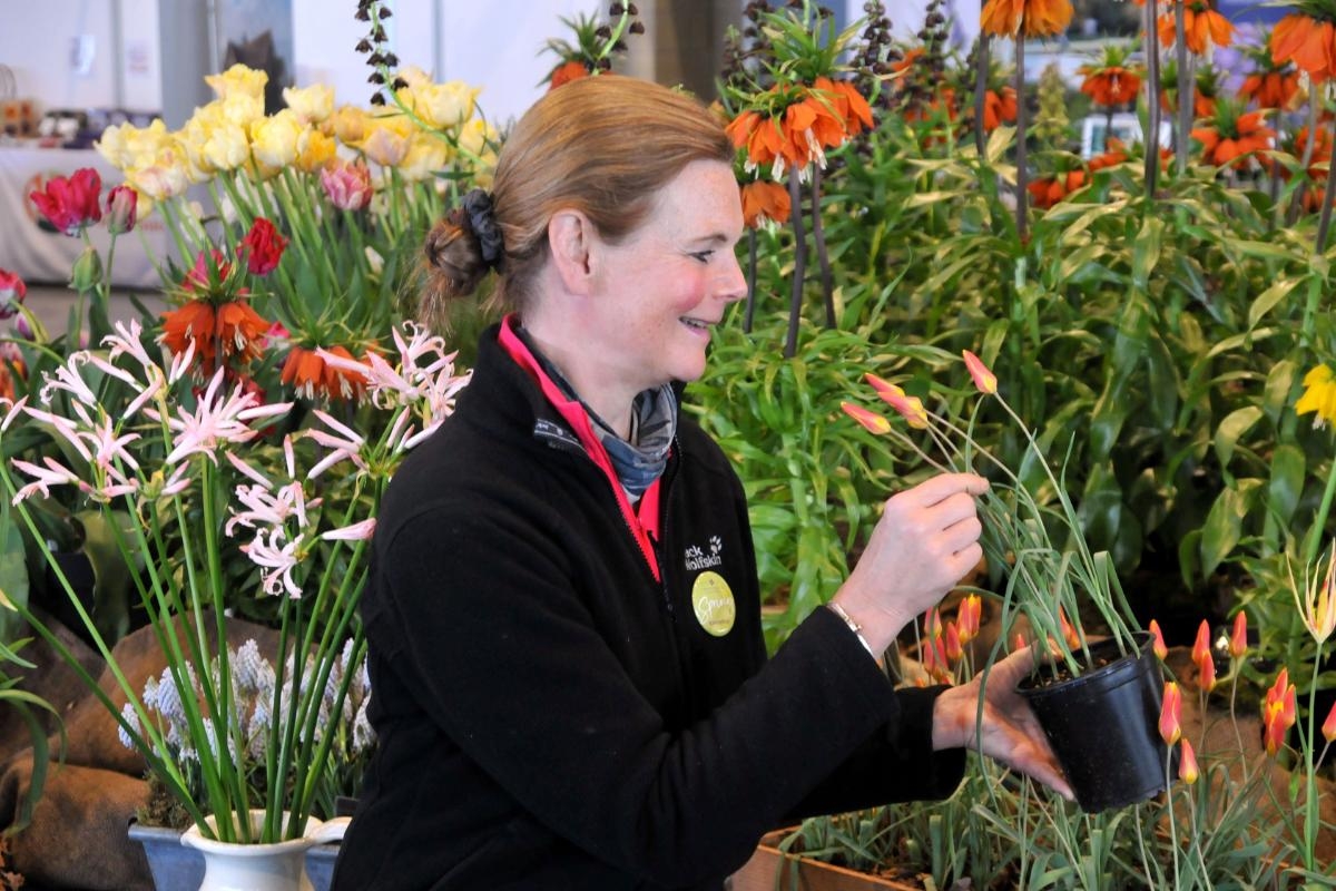 Harrogate Spring Flower Show to return from April 24 to April 27