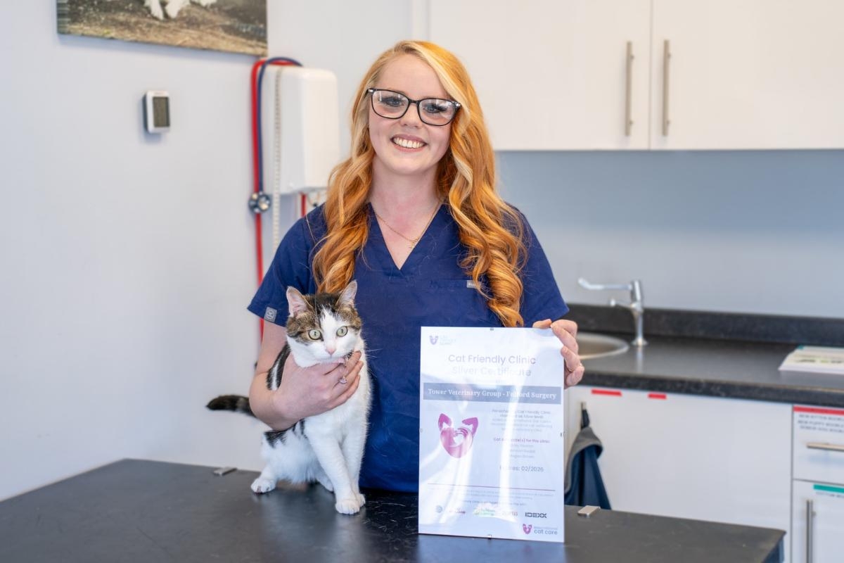 York vet soothes cats with classical music - but Bach is banned