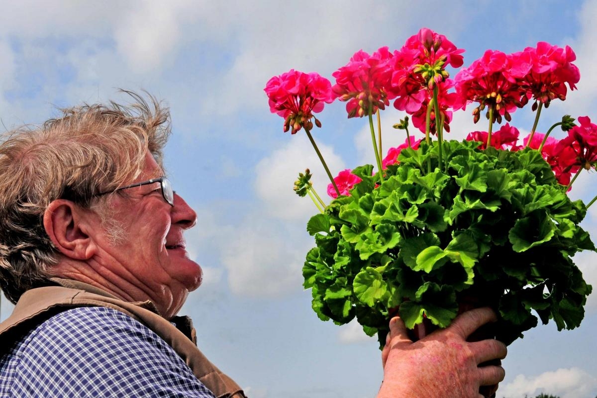 World's oldest horticultural society to host spring showcase in York village