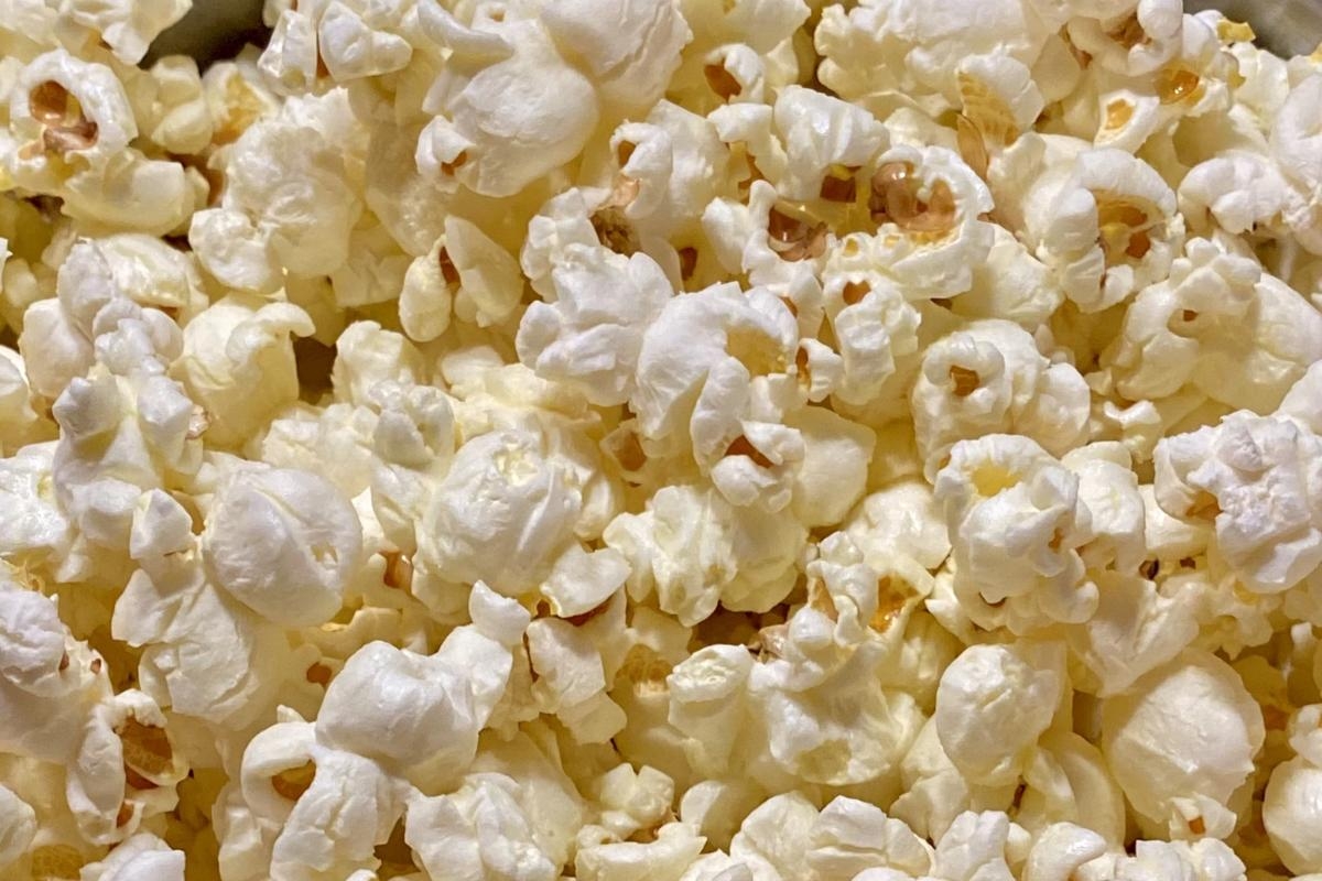 York Picturehouse: What's on at City Screen from May 2 to 8