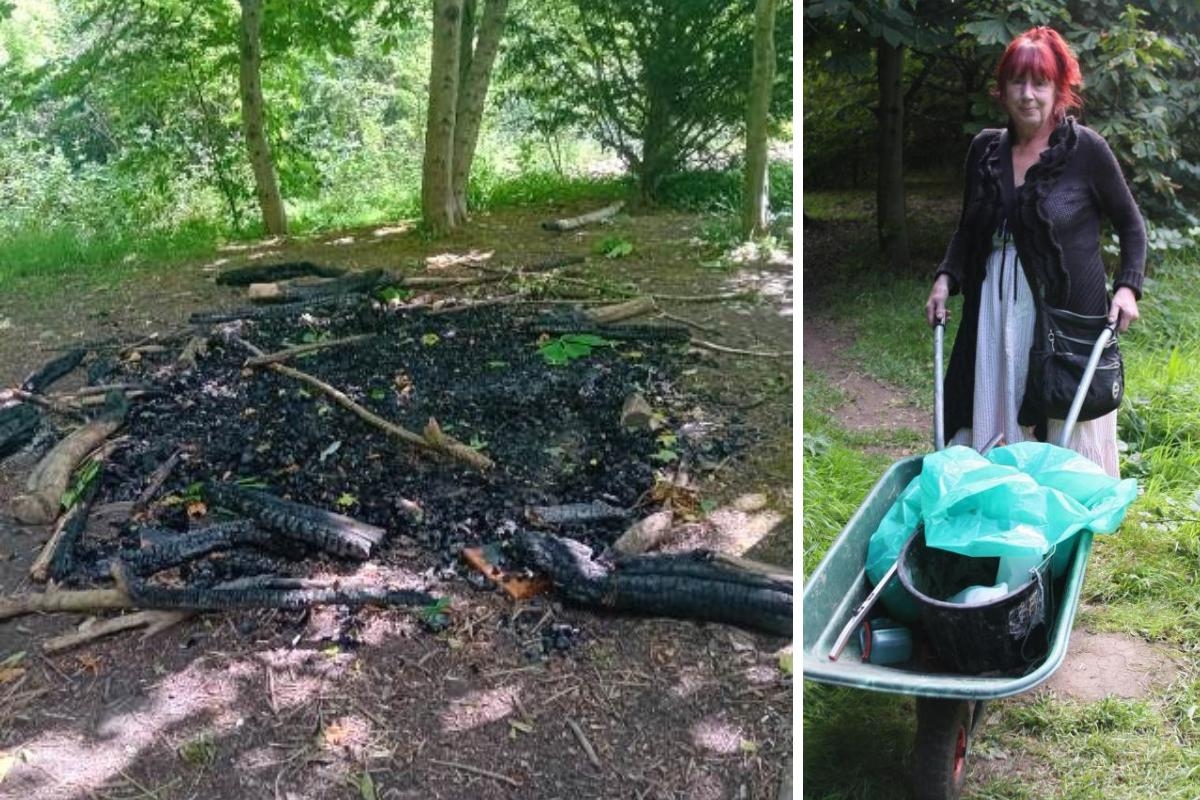 Police investigating alleged arson at much-loved York community project