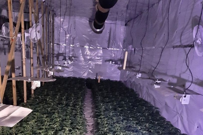 Massive 'industrial' cannabis farm found inside Kirklees bed factory