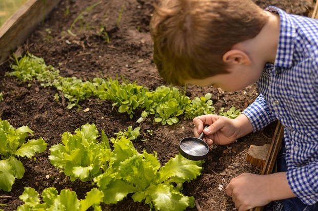 Best Growth Stocks to Buy for May 13th