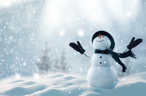 Snowflake Stock Rides on Cortex AI Adoption: Can the Growth Continue?