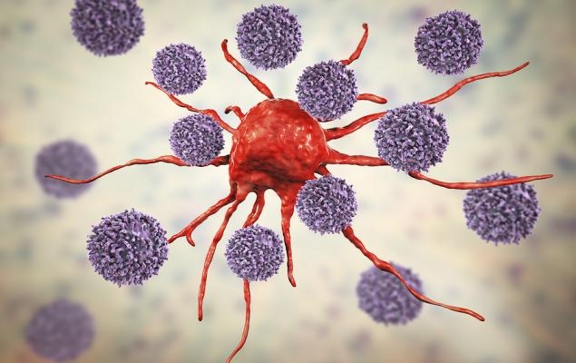 EXEL Reports Superior Efficacy Data From Kidney Cancer Study Cohort