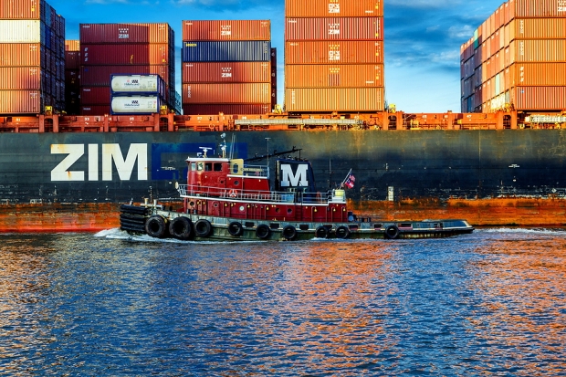Should You Buy, Hold or Sell ZIM Stock Ahead of Q1 Earnings?