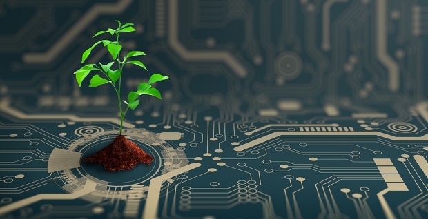 Seeking Income? These 3 AI Stocks Pay Dividends