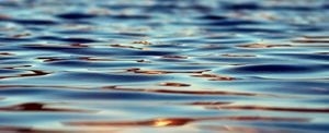 Blue-green algae alert issued for Lake Marian by Osceola County Department of Health