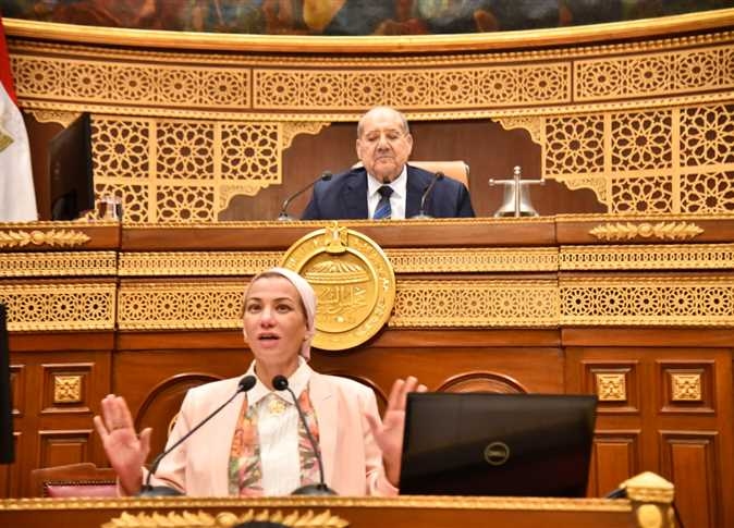 لماذا استقالت وزيرة البيئة المصرية وما منصبها الدولي الجديد؟