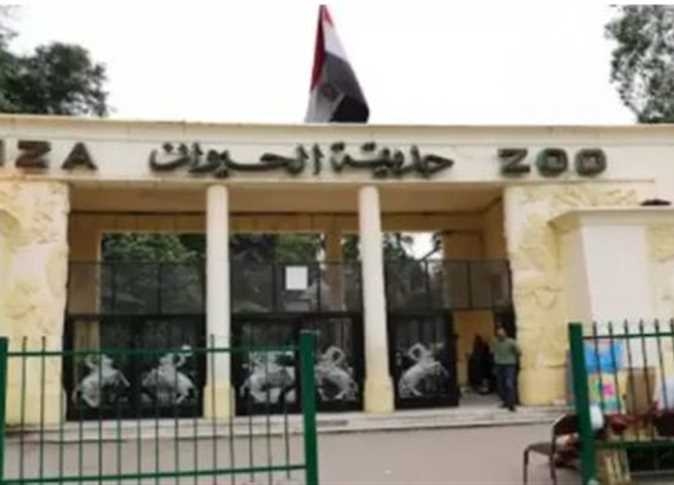 حديقة الحيوان تعود بحلة جديدة.. افتتاح مرتقب بعد دمجها مع الأورمان