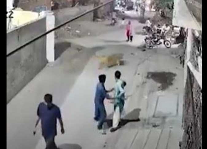 شاهد لحظة هجوم أسد هارب على سيدة في باكستان (فيديو)
