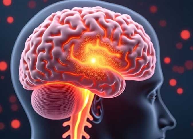 بعد شائعات وفاة 4 أطفال بـ الالتهاب السحائي وانتشاره.. ما هو وما أعراضه؟