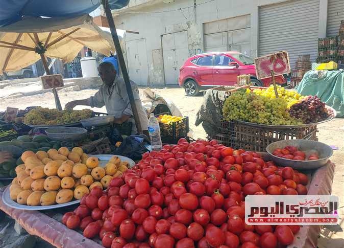 الثوم بـ70 جنيهًا.. أسعار الخضار في أسواق الإسكندرية اليوم السبت 2 أغسطس 2025