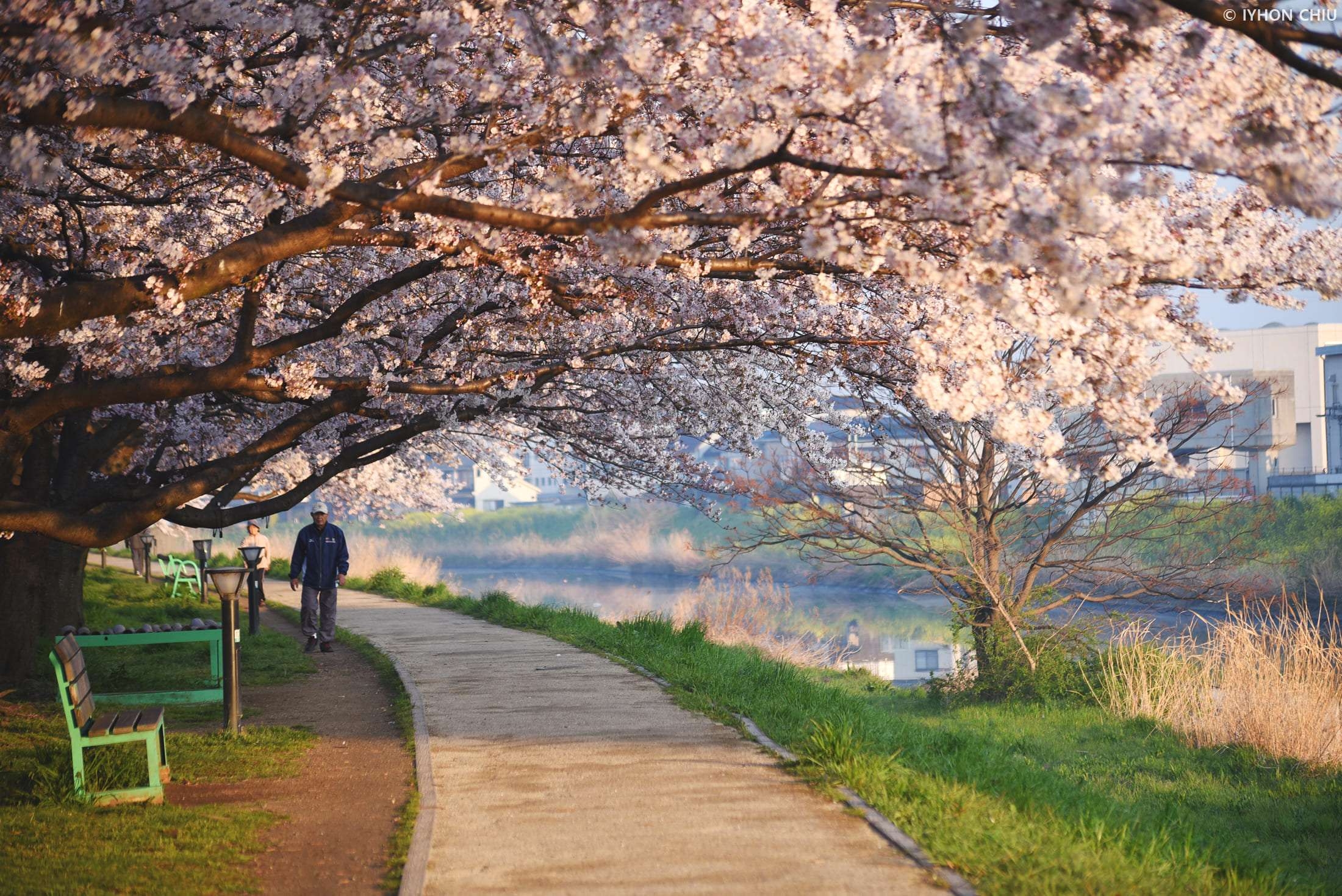 Historic Walks Near Tokyo