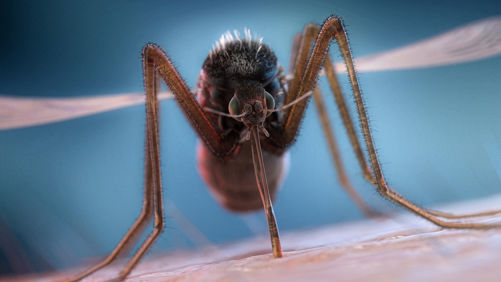 Mystery illness in DR Congo could be malaria