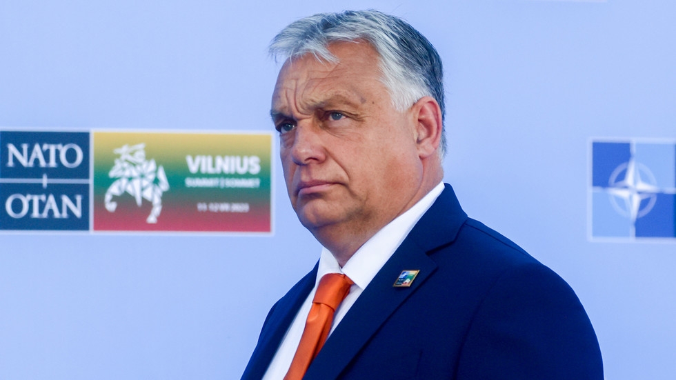EU ‘can't afford' to support Ukraine
