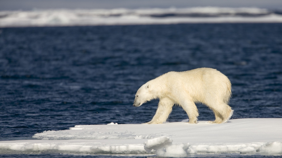 US eyes Arctic cooperation with Gazprom