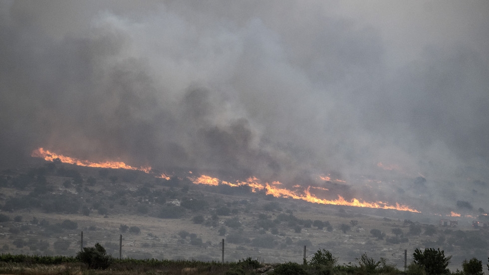 Israel hit with ‘largest ever' wildfires (VIDEOS)