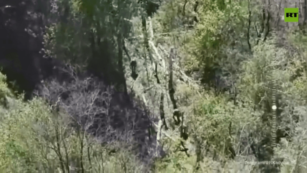 New Ukrainian Kursk assault repelled – Chechen leader (VIDEO)