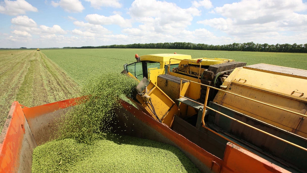 Russia boosting Africa support with new food shipments