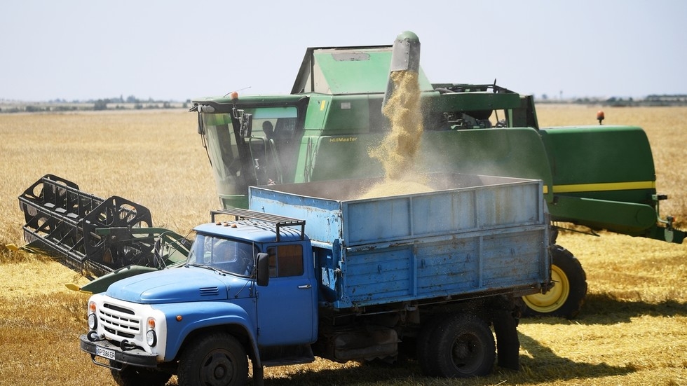 Russia boosts wheat exports to Africa as France loses ground