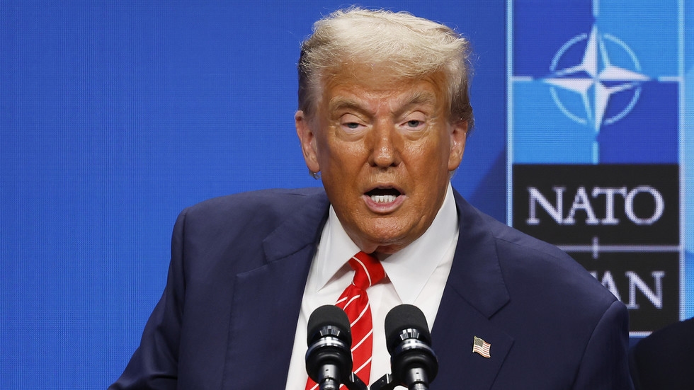 Trump should ‘knock the f*** out' of EU disinfo law – ex-State Dept official