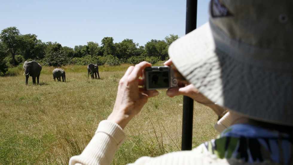 Elephant rampage kills tourists