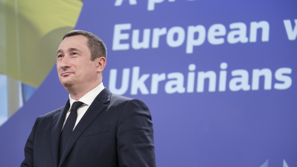 Ukraine's embattled unity minister announces creation of aid centers abroad