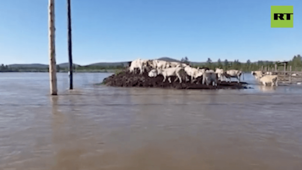 Summer floods wreak havoc in Russian Far East region (VIDEOS)
