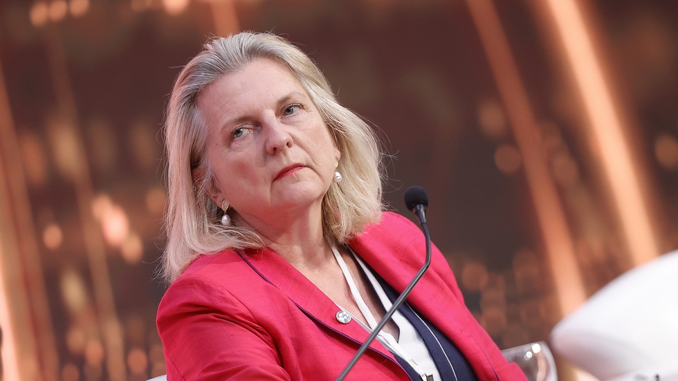 West could be behind Ukraine's anti-graft rallies – ex-Austrian FM