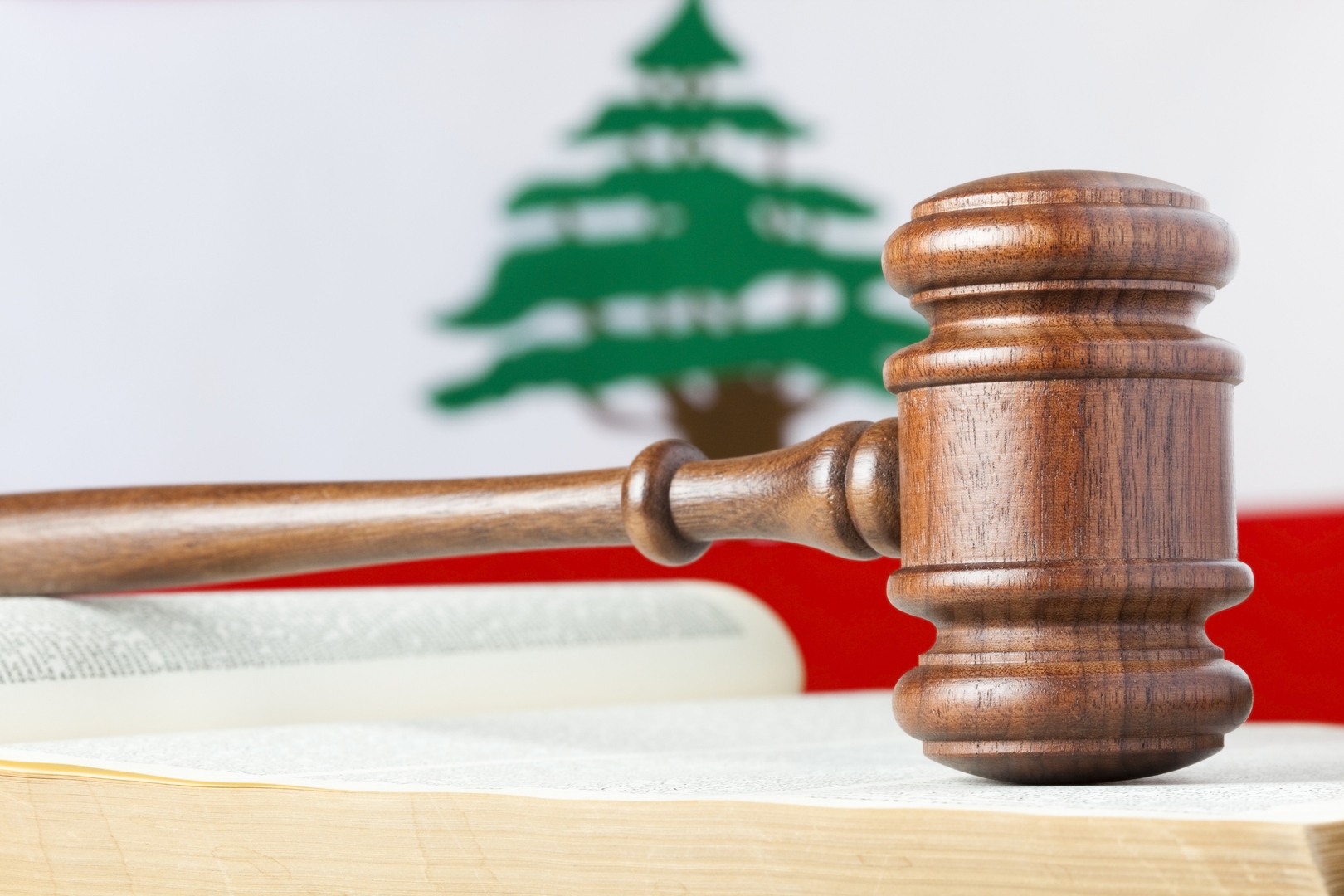 من نجم على السوشيال ميديا إلى متهم بتصنيع المخدرات.. قرار قضائي جديد بحق أحد مشاهير لبنان