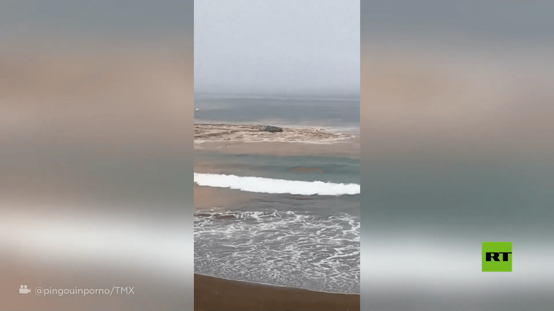 شاهد..  سيارة تجرفها المياه إلى البحر وسط فيضانات غزيرة اجتاحت جزر الكناري