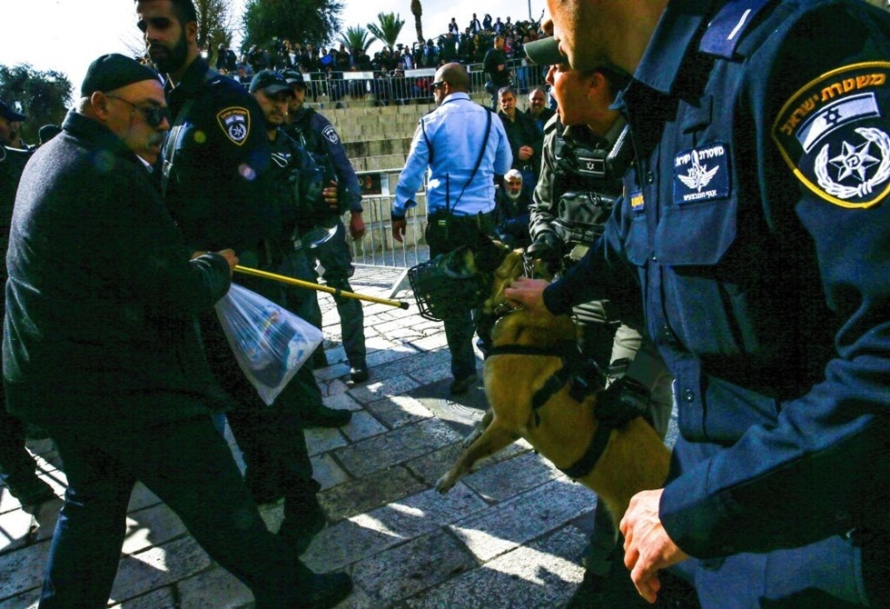 تقرير يكشف دور هولندا في تعذيب الفلسطينيين بواسطة الكلاب