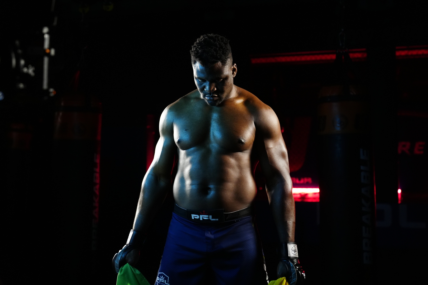 بطل العالم السابق في UFC يتسبب في مقتل شابة