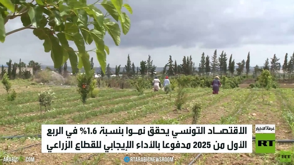القطاع الزراعي التونسي يحقق نموا