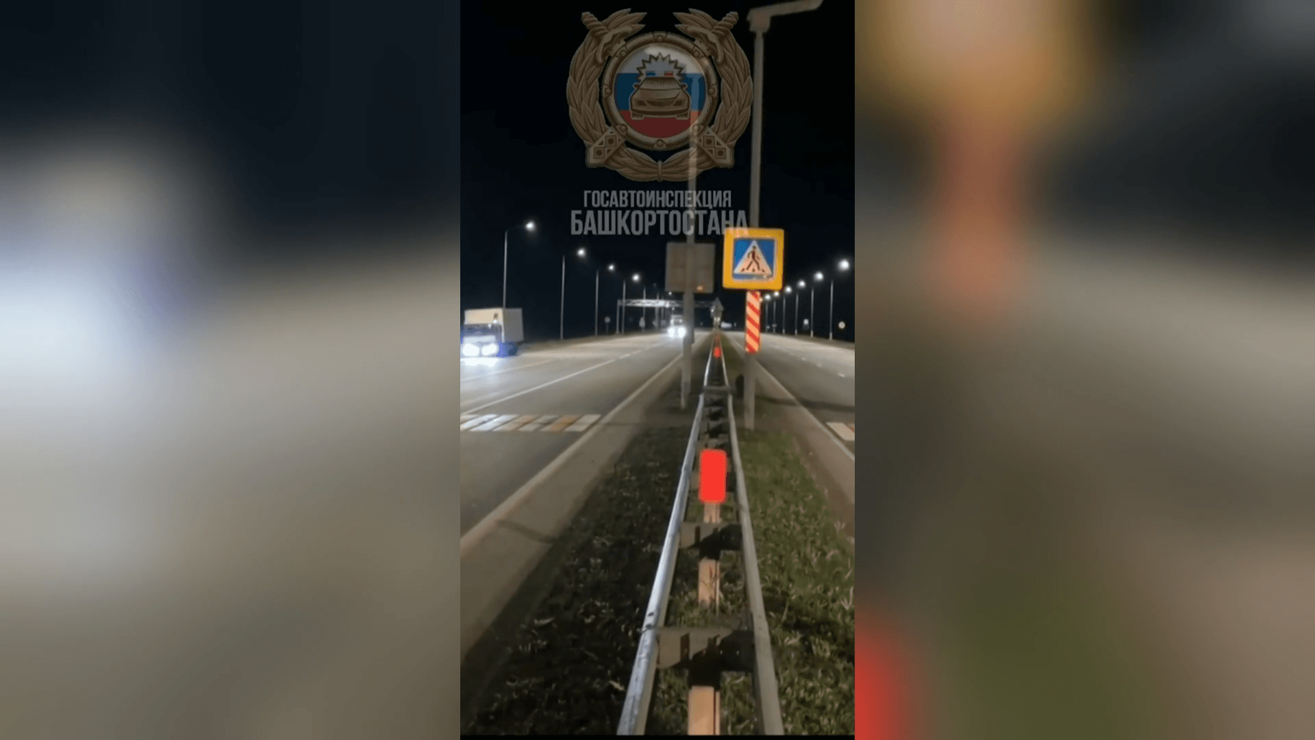 روسيا.. رصد خنزير بري يلتزم بقانون السير