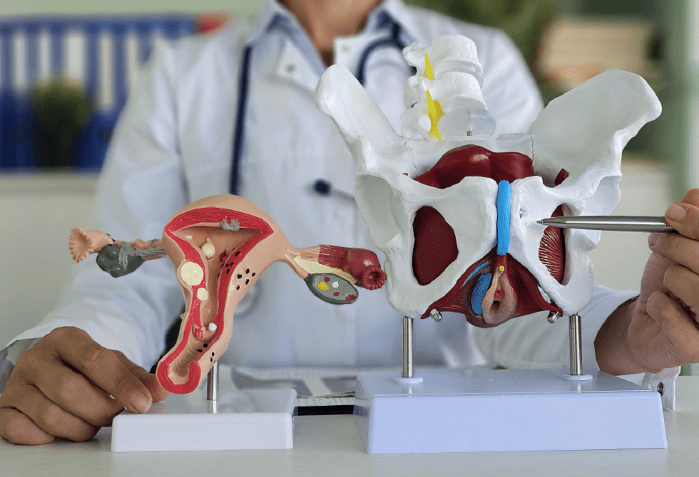 كيفية تقوية عضلات قاع الحوض للحفاظ على الصحة الجنسية والبولية