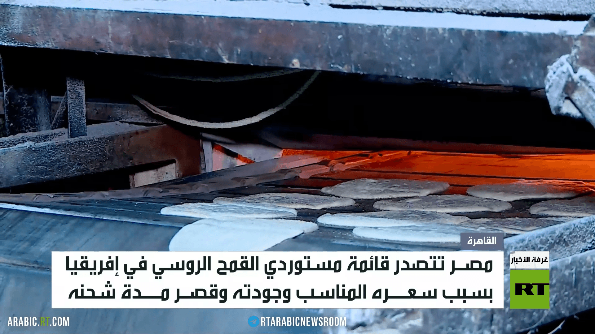 مصر.. أكبر مستورد للقمح الروسي بإفريقيا