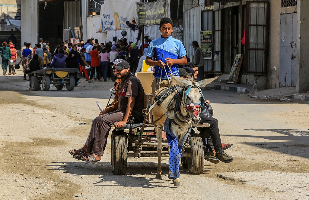 إسرائيل تنهب الحمير من غزة وفرنسا تمنحها "حق اللجوء" (صور+ فيديو)