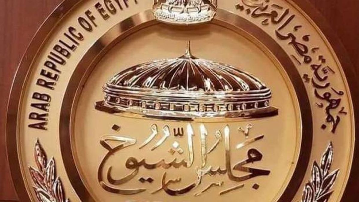 انطلاق انتخابات مجلس الشيوخ المصري في الخارج
