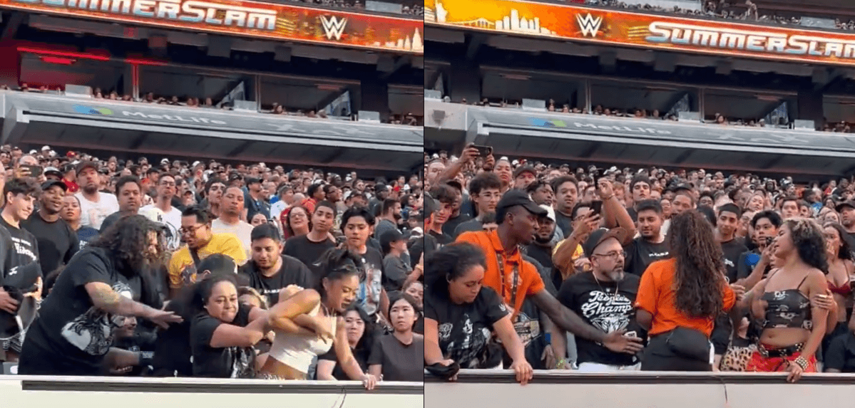 من الحلبة إلى المدرجات.. شجار جماهيري "مجنون" يشعل عرض "SummerSlam" (فيديو)