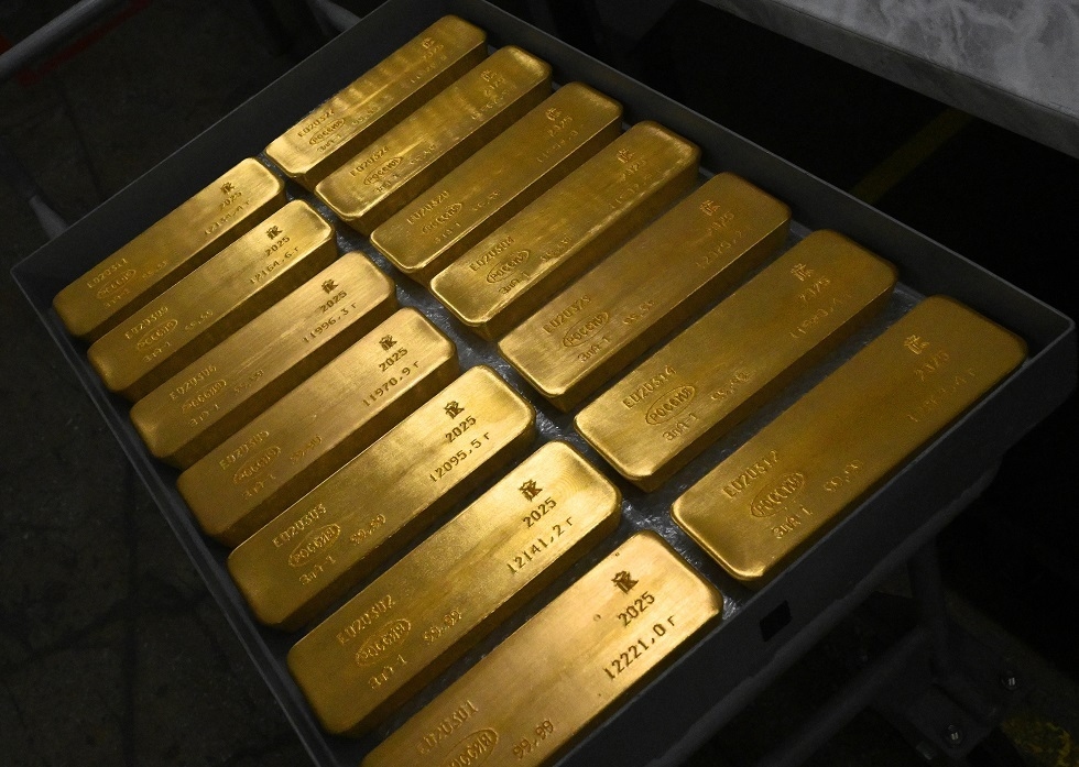 المالية الروسية: احتياطي صندوق الرفاه الوطني بلغ 13.08 تريليون روبل حتى 1 أغسطس
