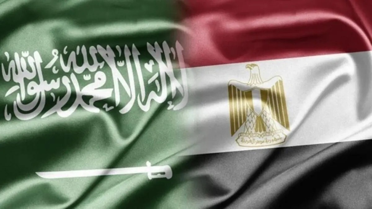 بيان مصري سعودي بعد قرار إسرائيل حول غزة