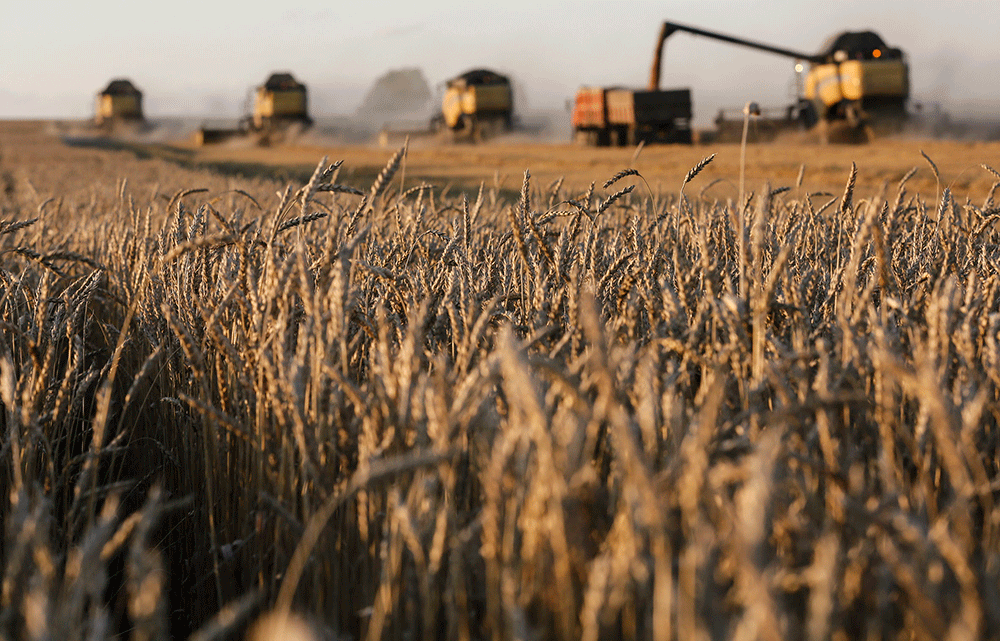 South Africa's agricultural performance so far this year is not all doom and gloom