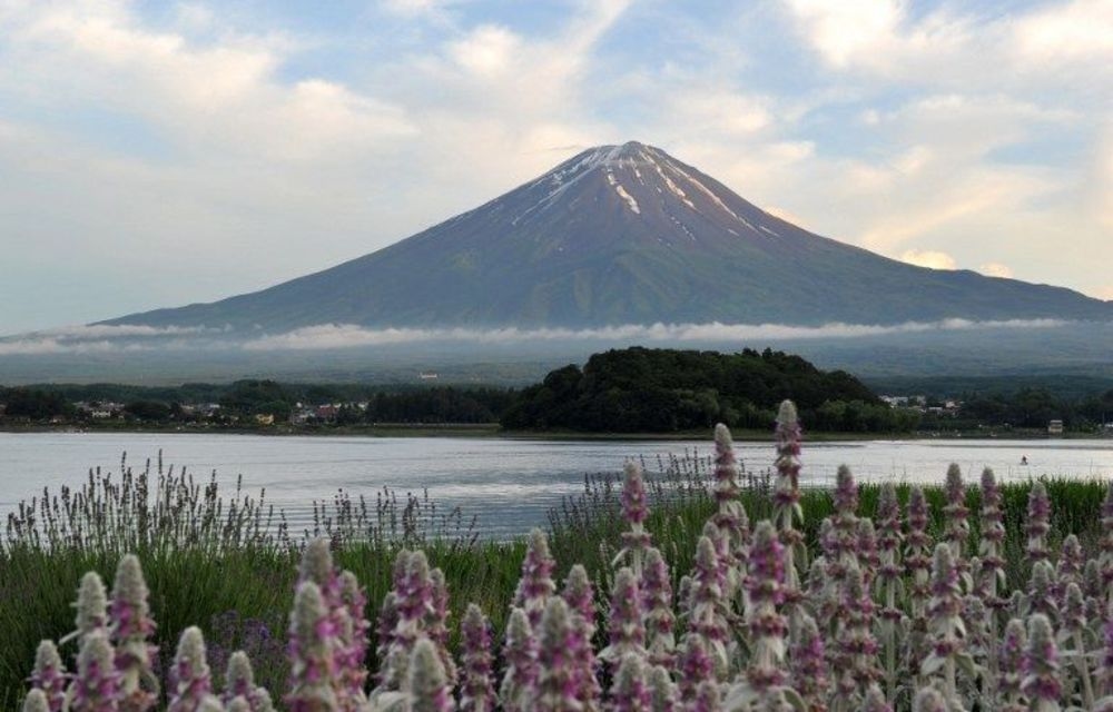 Africa-Japan: Reflections on Tokyo International Conference on African Development