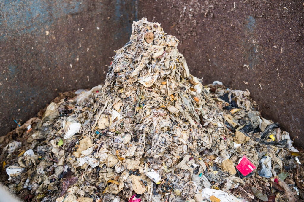 Sanitation crisis in Ramaphosa informal settlement dehumanises people